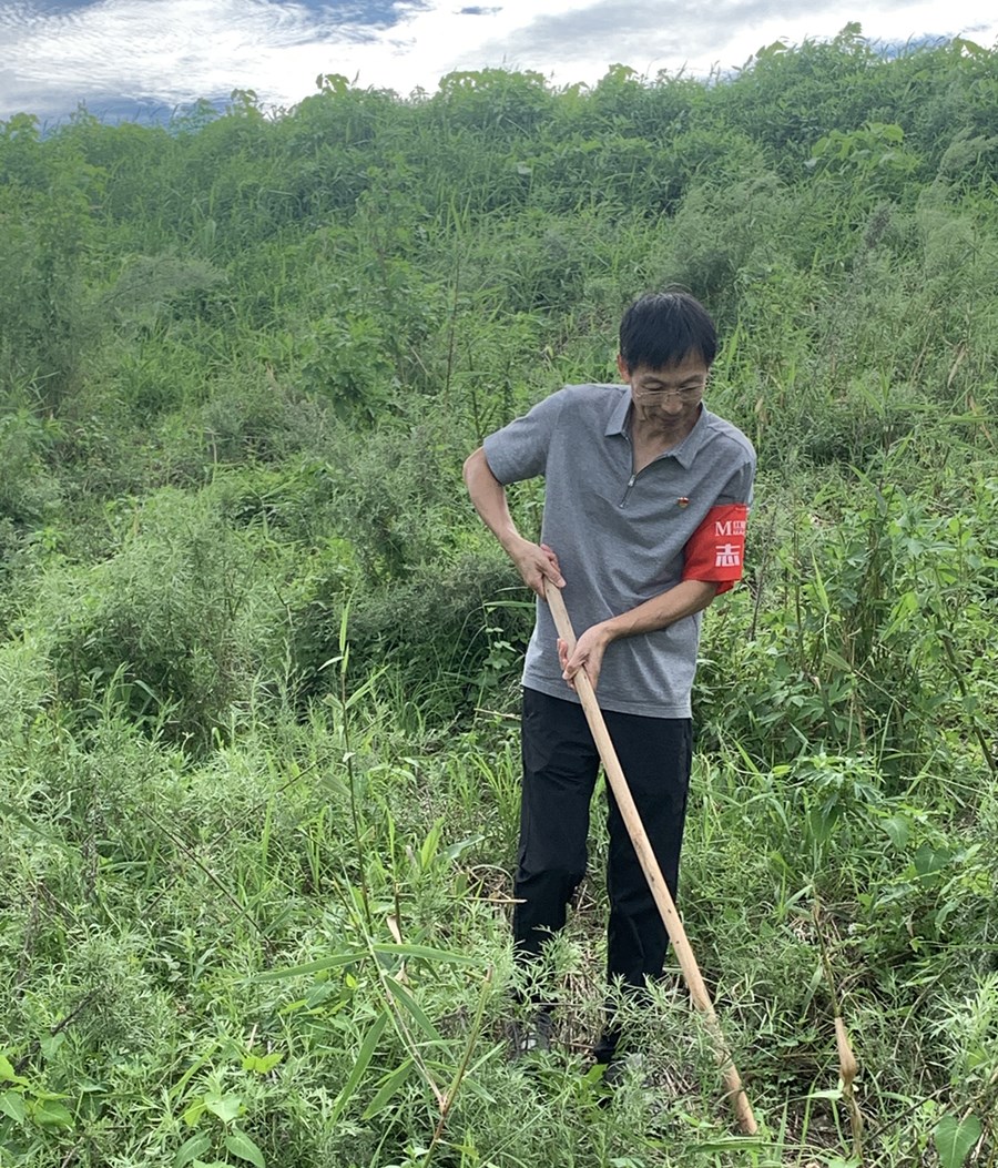aa