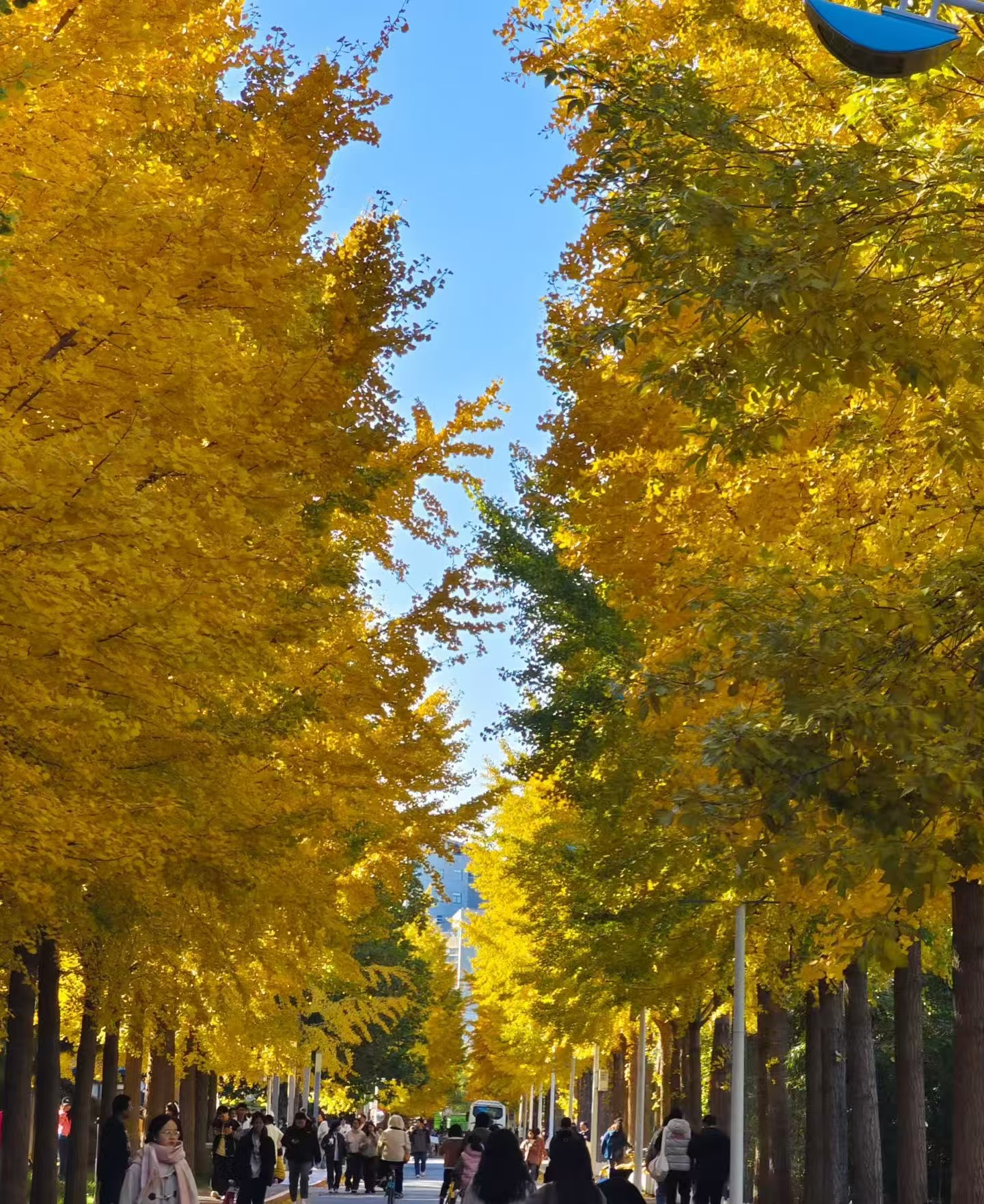 微信图片_20251106144942_8_3