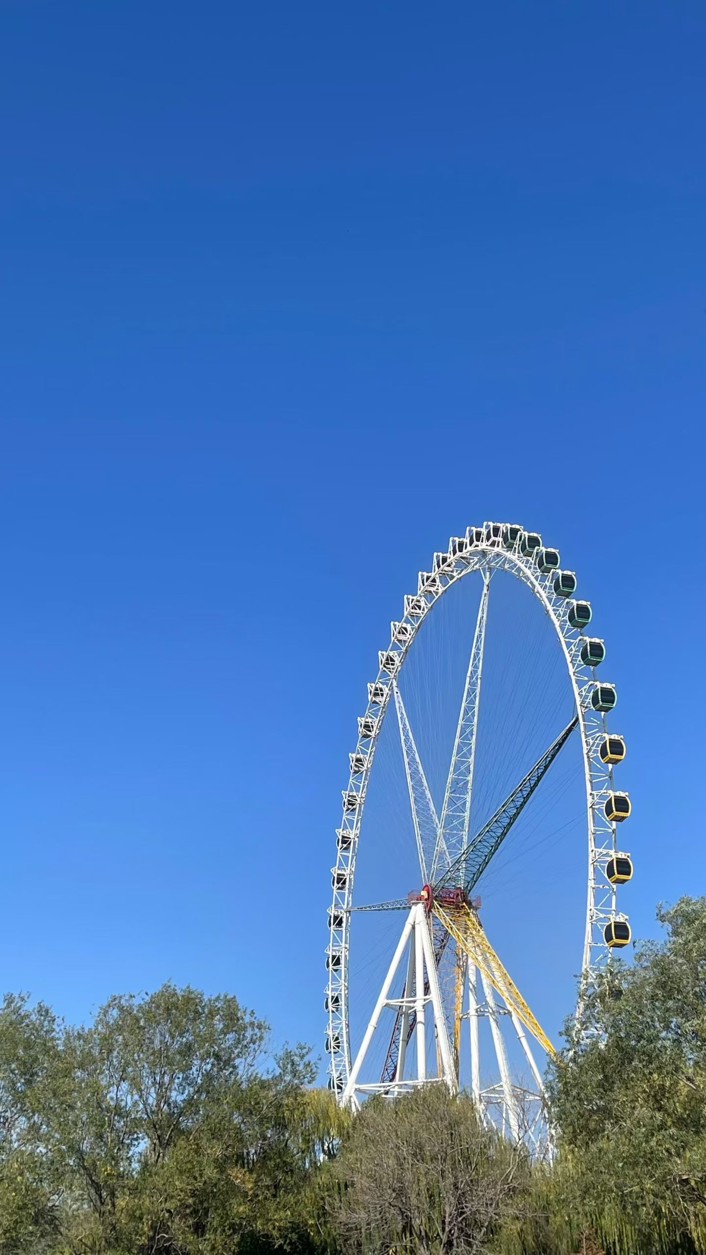 微信图片_20251120223415_101_3