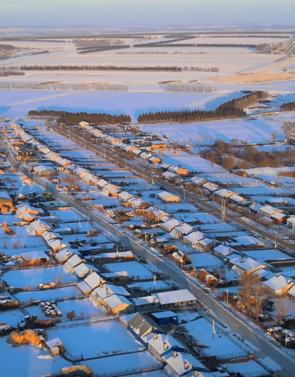 微信图片_20260220201309_1_3