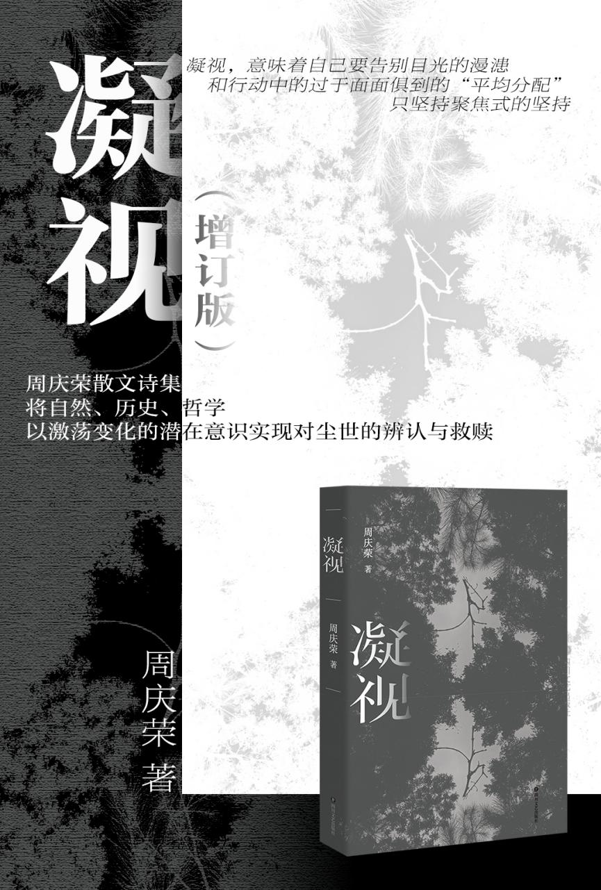 图片7 图片7