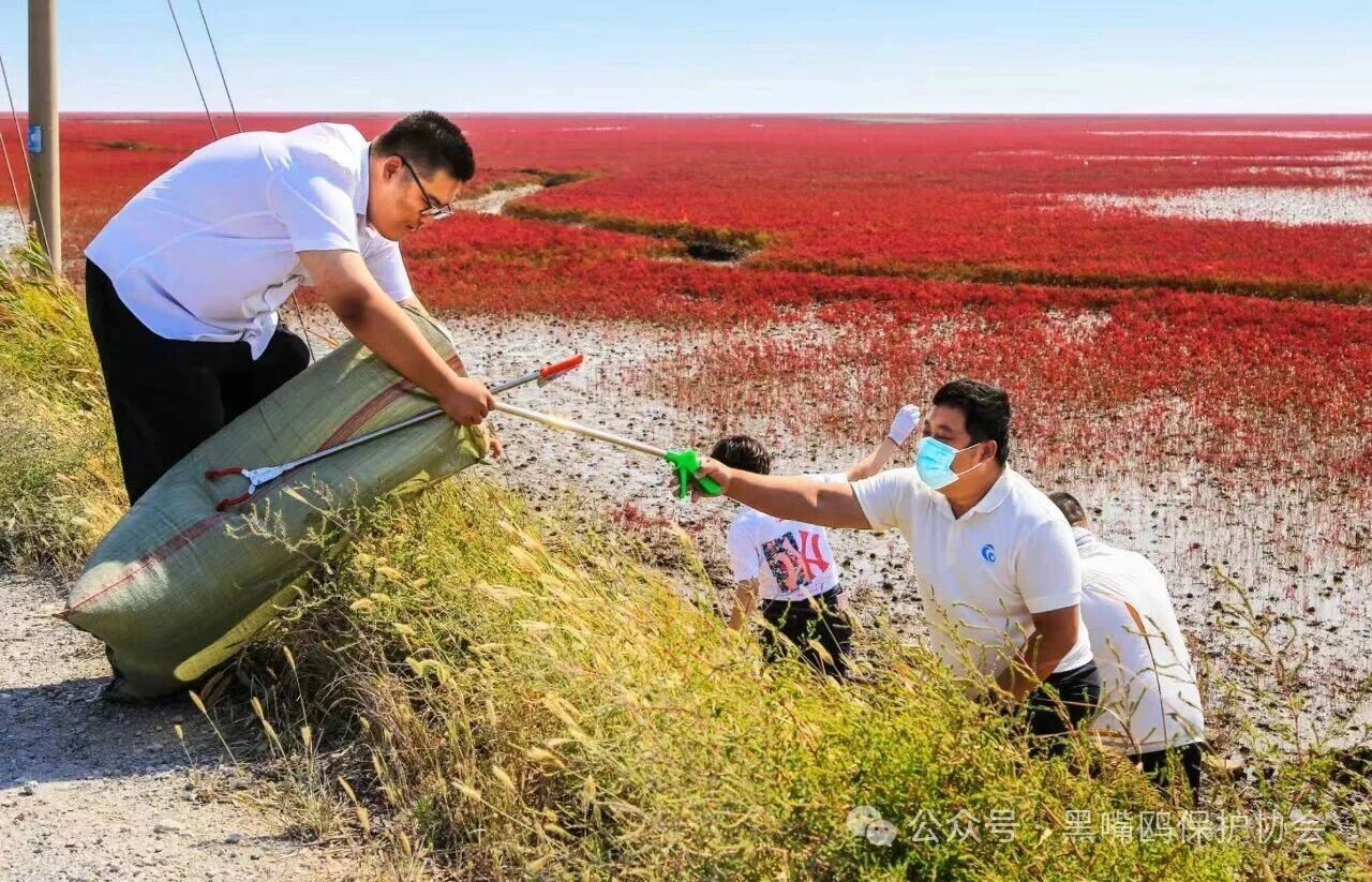 微信图片_2026-09-17_171044_397 微信图片_2026-09-17_171044_397